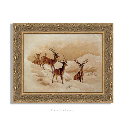 STAGS IN SNOW