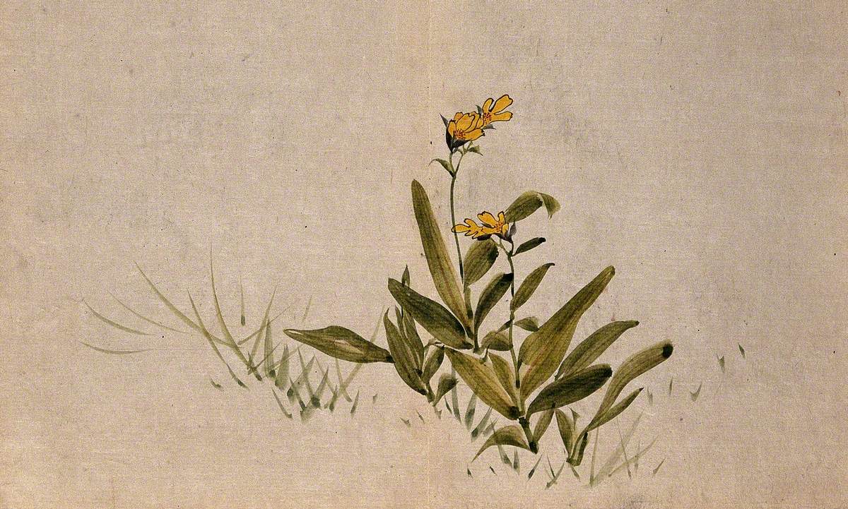 Yellow flower in a patch of grass. Watercolor on paper.   Original artist unknown.  Fine art prints by The Vintage Art Market. 